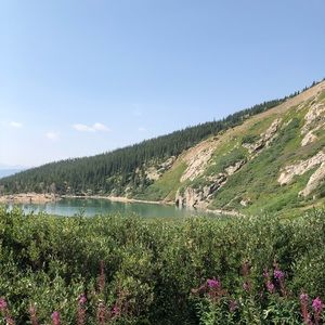 Meet your Posher, Ellie